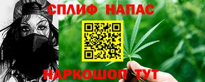СК Можга
