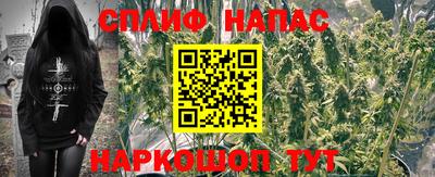 амф Моздок