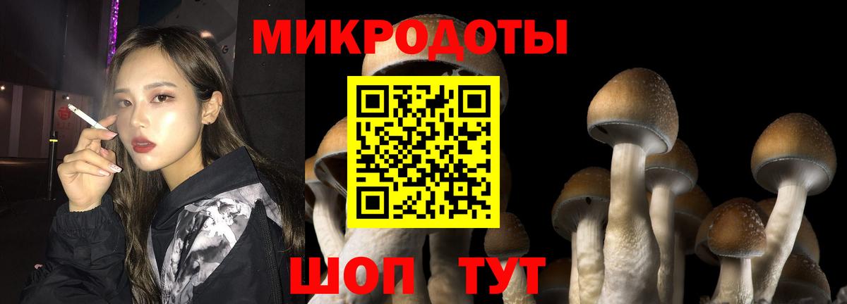 Псилоцибиновые грибы MAGIC MUSHROOMS  Вход с VPN  Энгельс 
